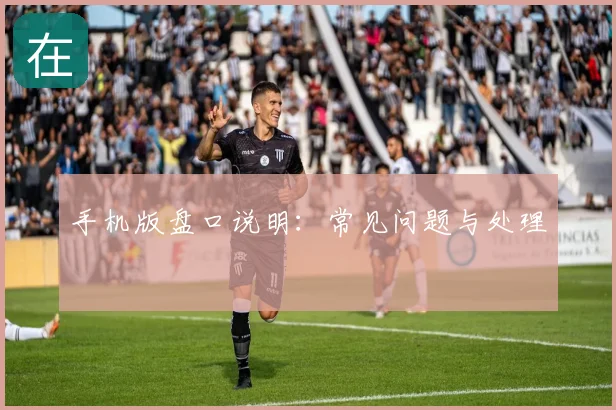 手机版盘口说明：常见问题与处理